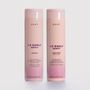 Kit-Duo-Go-Curly-Crespos-250ml