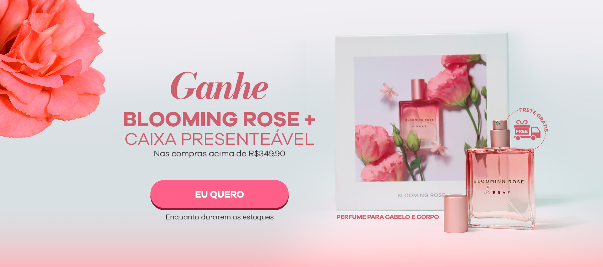 Ganhe Blooming Rose + Caixa presenteável